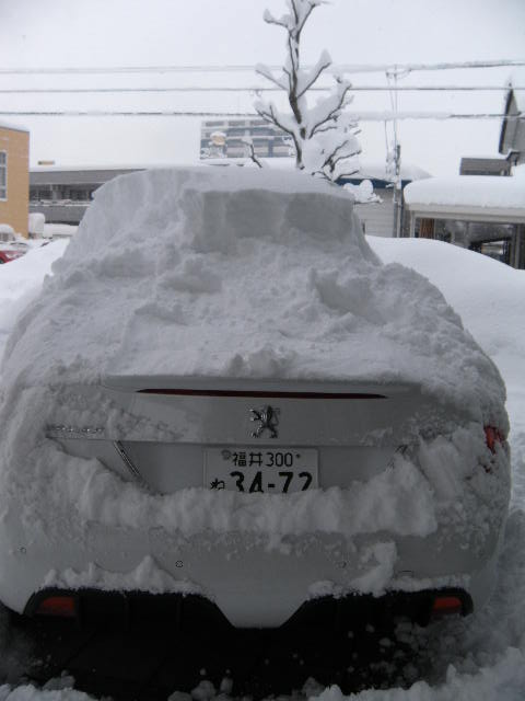 盛り上がりました