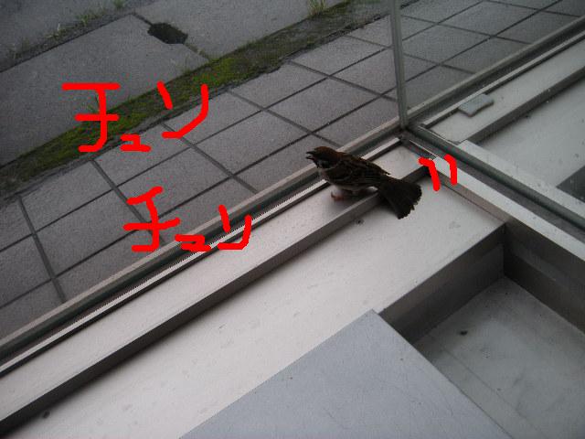 いらっしゃいませ