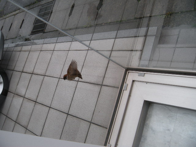 いらっしゃいませ