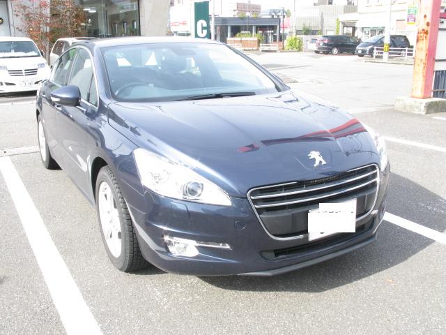 ﾎﾞﾃﾞｨｶﾗｰ