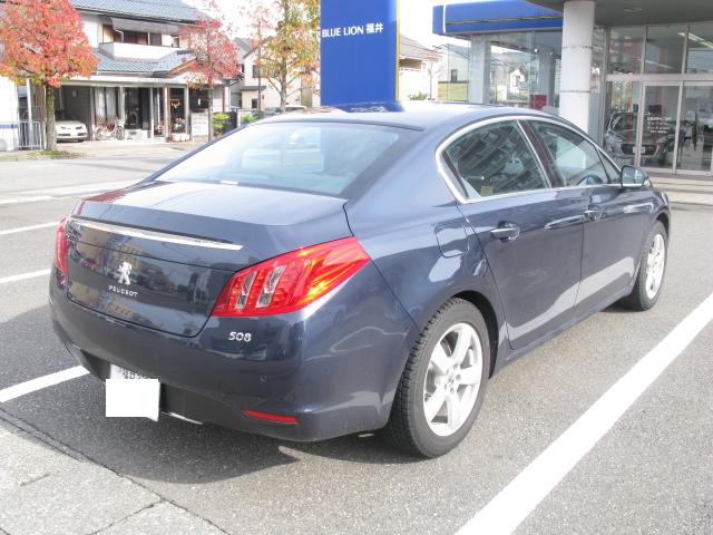 ﾎﾞﾃﾞｨｶﾗｰ