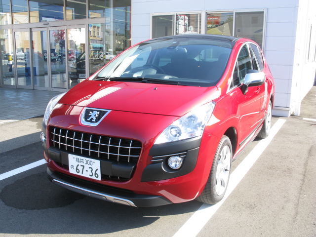 ☆グリーンボーナス☆