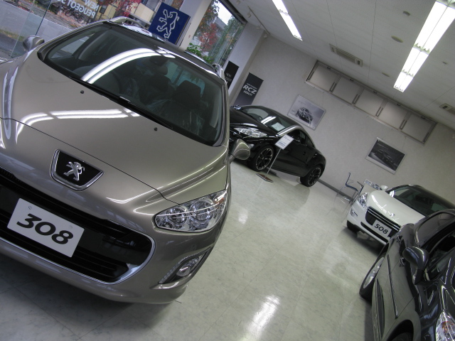 キャンペーンスタート