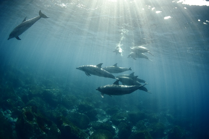 夏期休暇のご案内