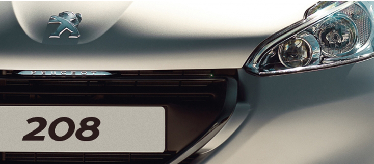 ﾌﾟｼﾞｮー福井オリジナルセレクション