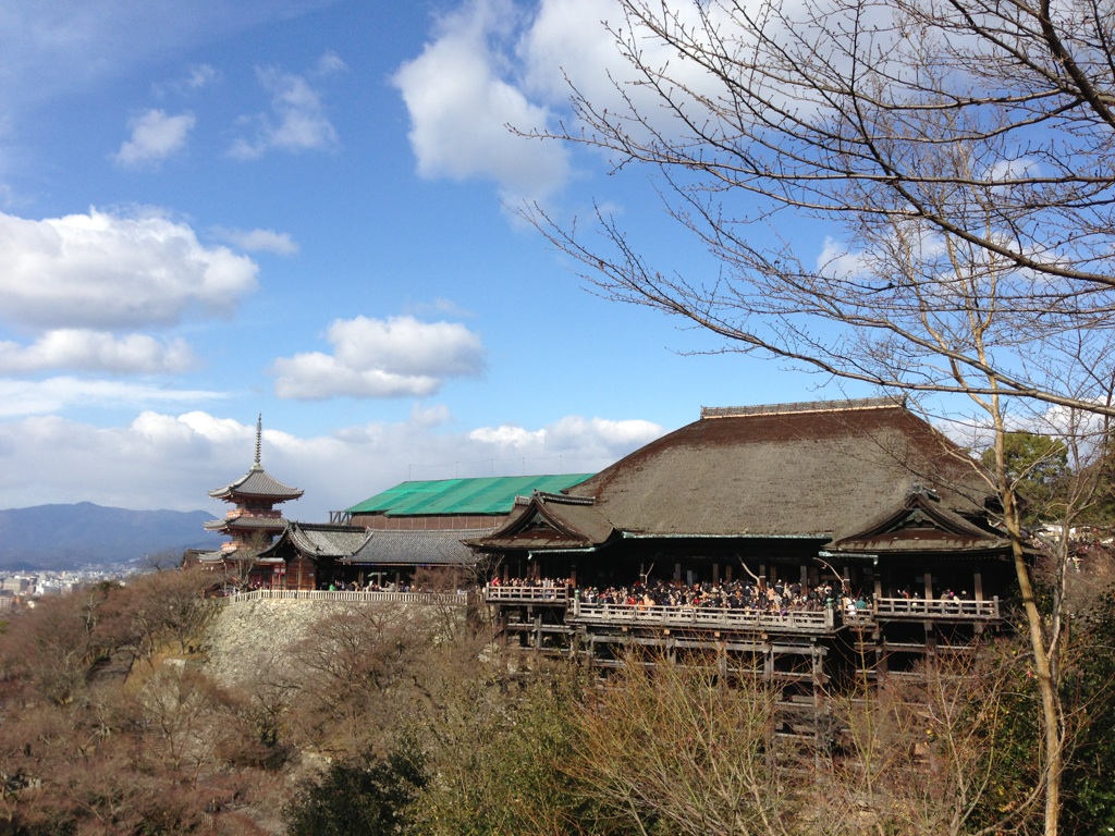 アートアクアリウム