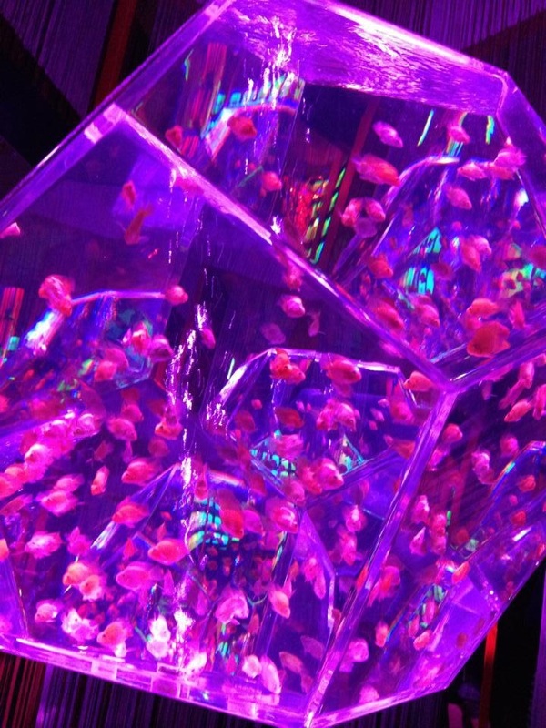 アートアクアリウム