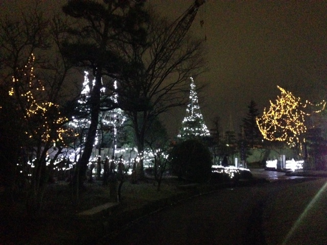 新春フェア終了致しました。