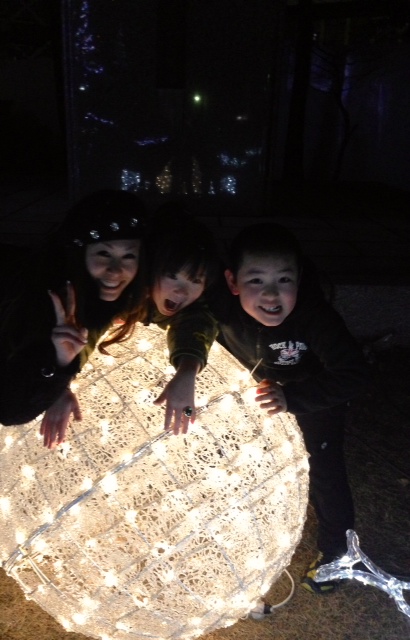 新春フェア終了致しました。