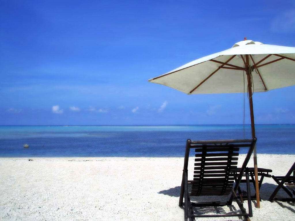 締切が迫ってます！