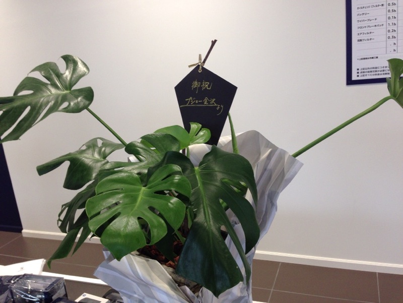 リニューアルオープン！