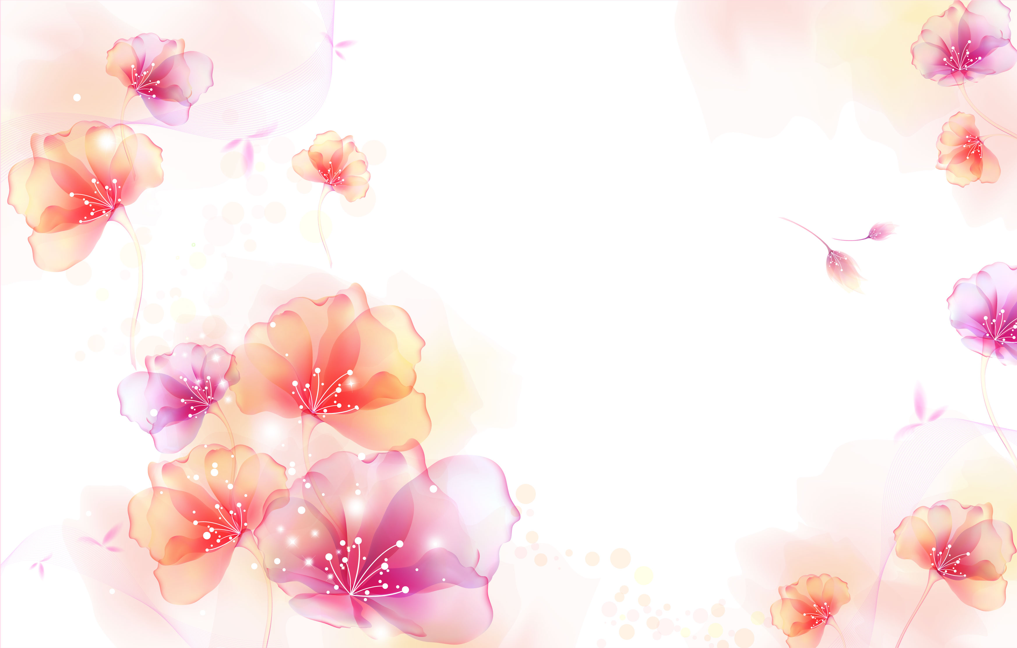 HAPPY BIRTHDAY　♪