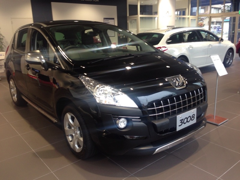 一カ月が経ちました。