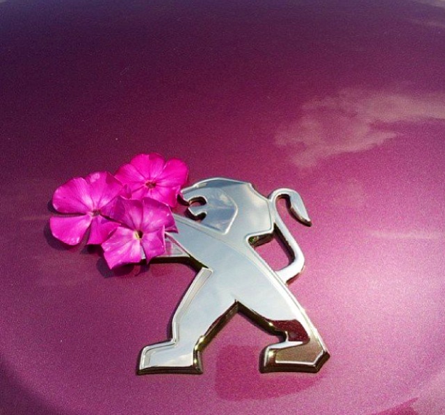 The　43rd TOKYO MOTOR SHOW 2013