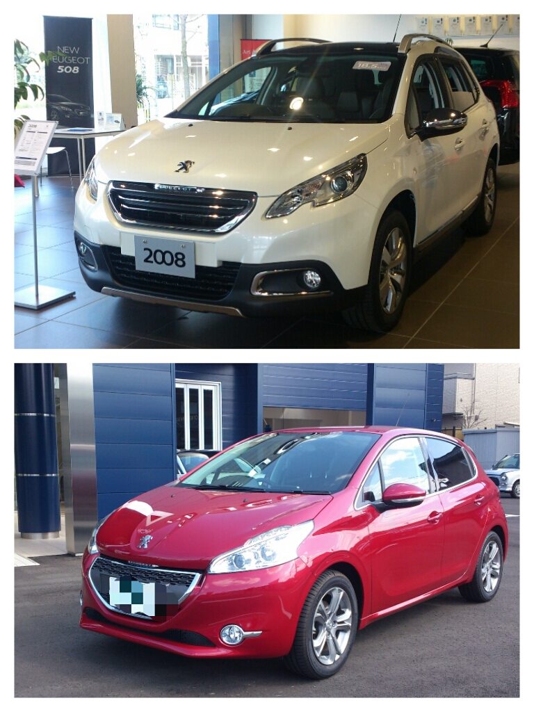 臨時休業のご案内