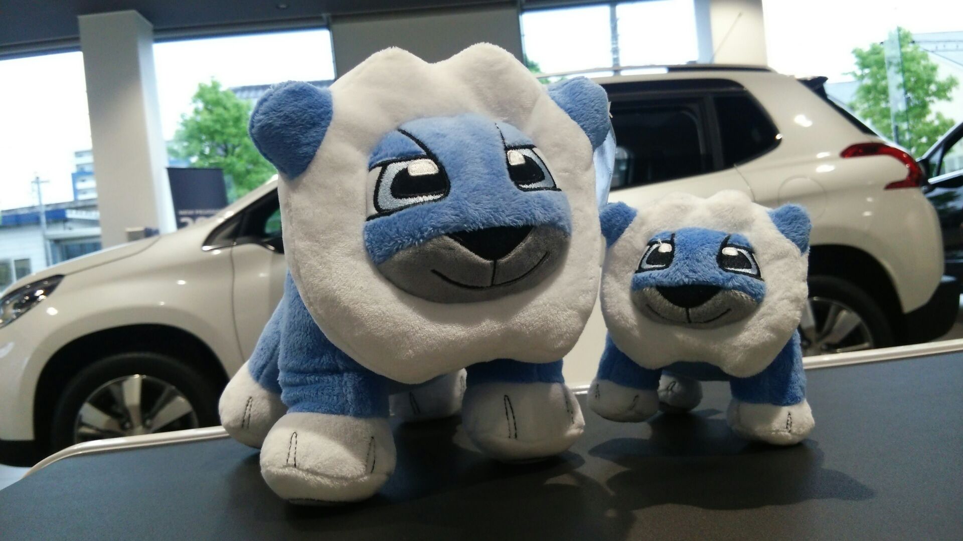 ふわふわ♪