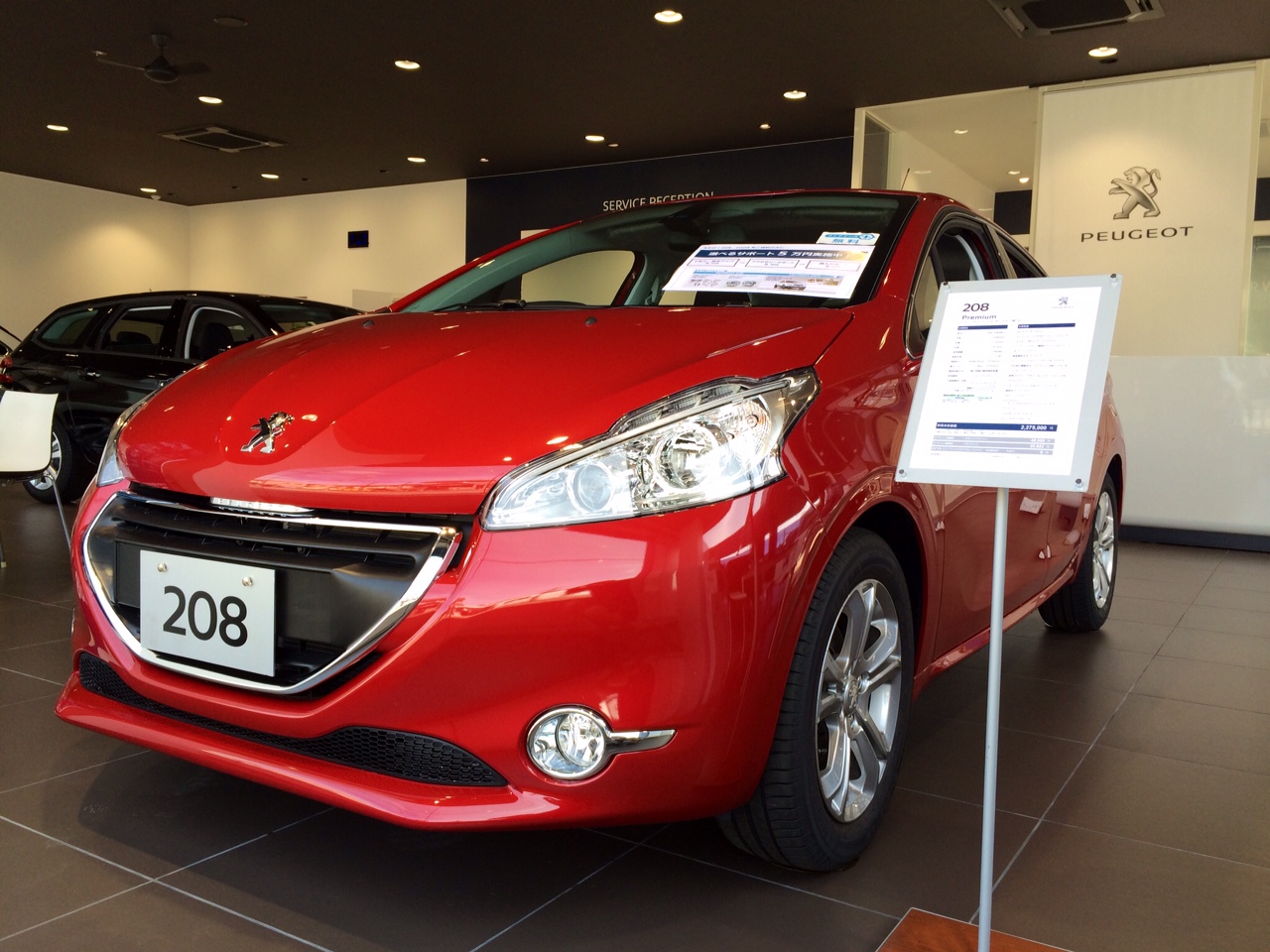 今週末の展示車情報！