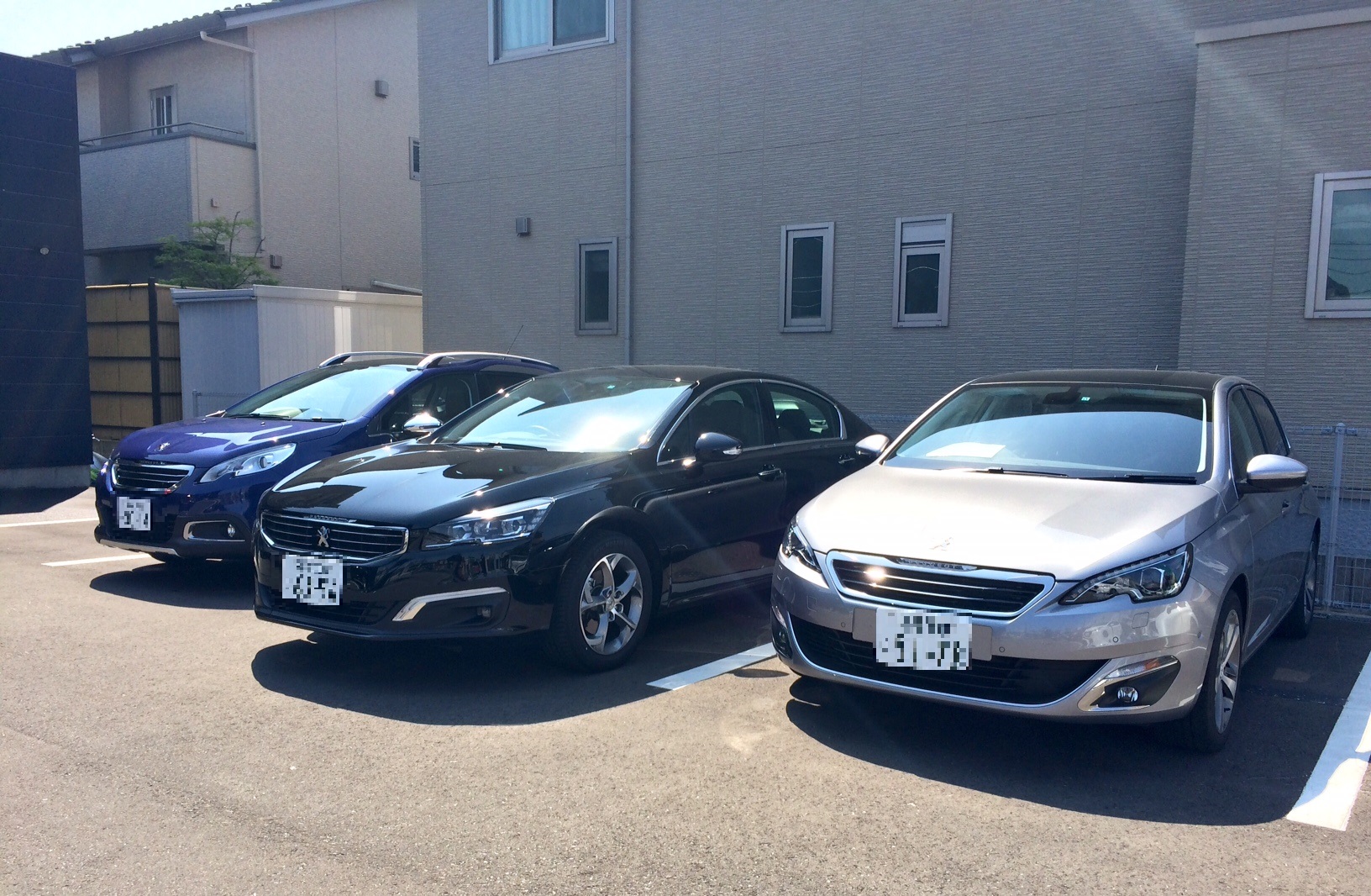 試乗車そろってます！