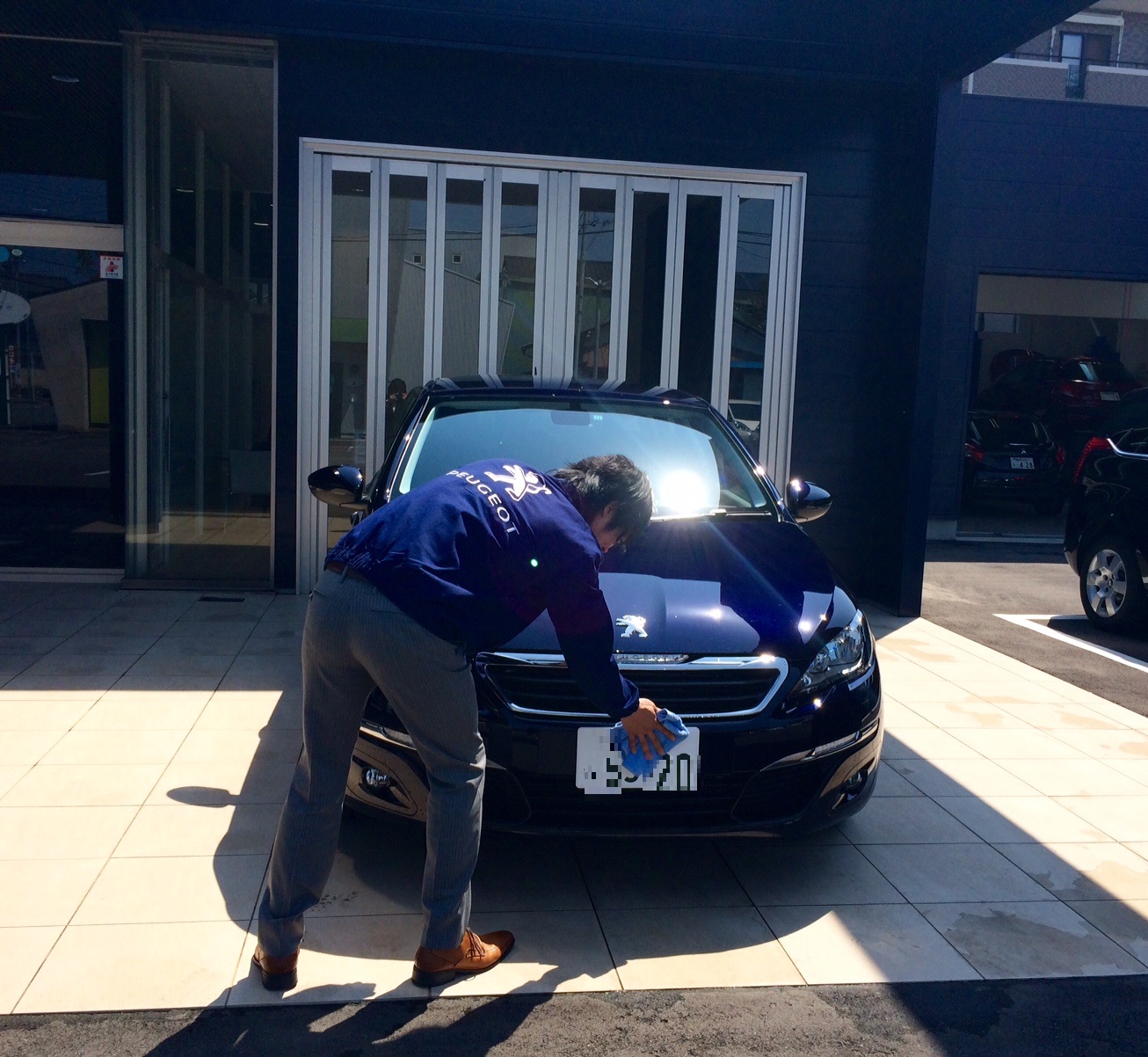 試乗車そろってます！