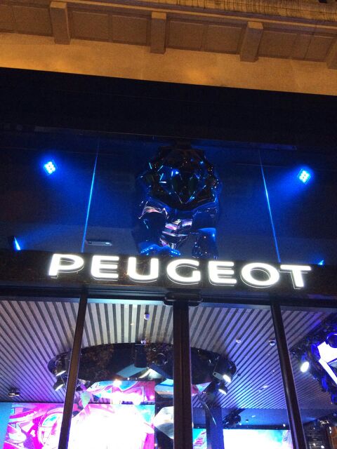 ★帰ってきました★