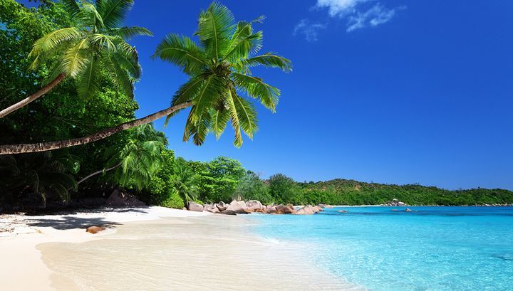 夏季休業日のご案内