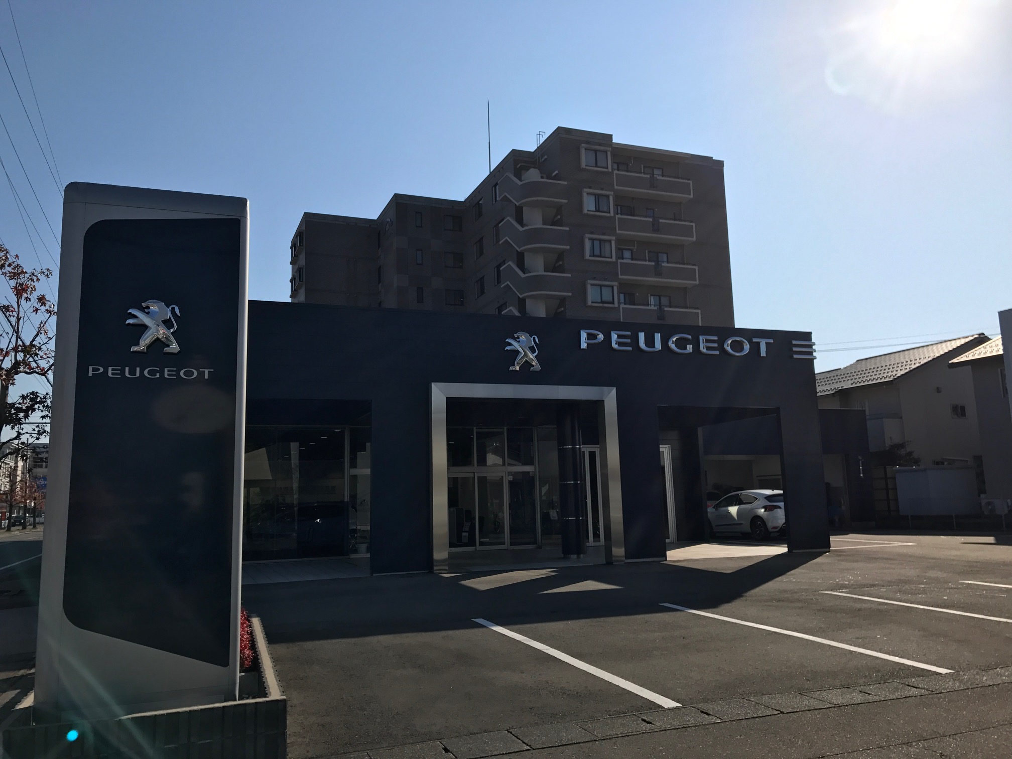 今週末のショールームは