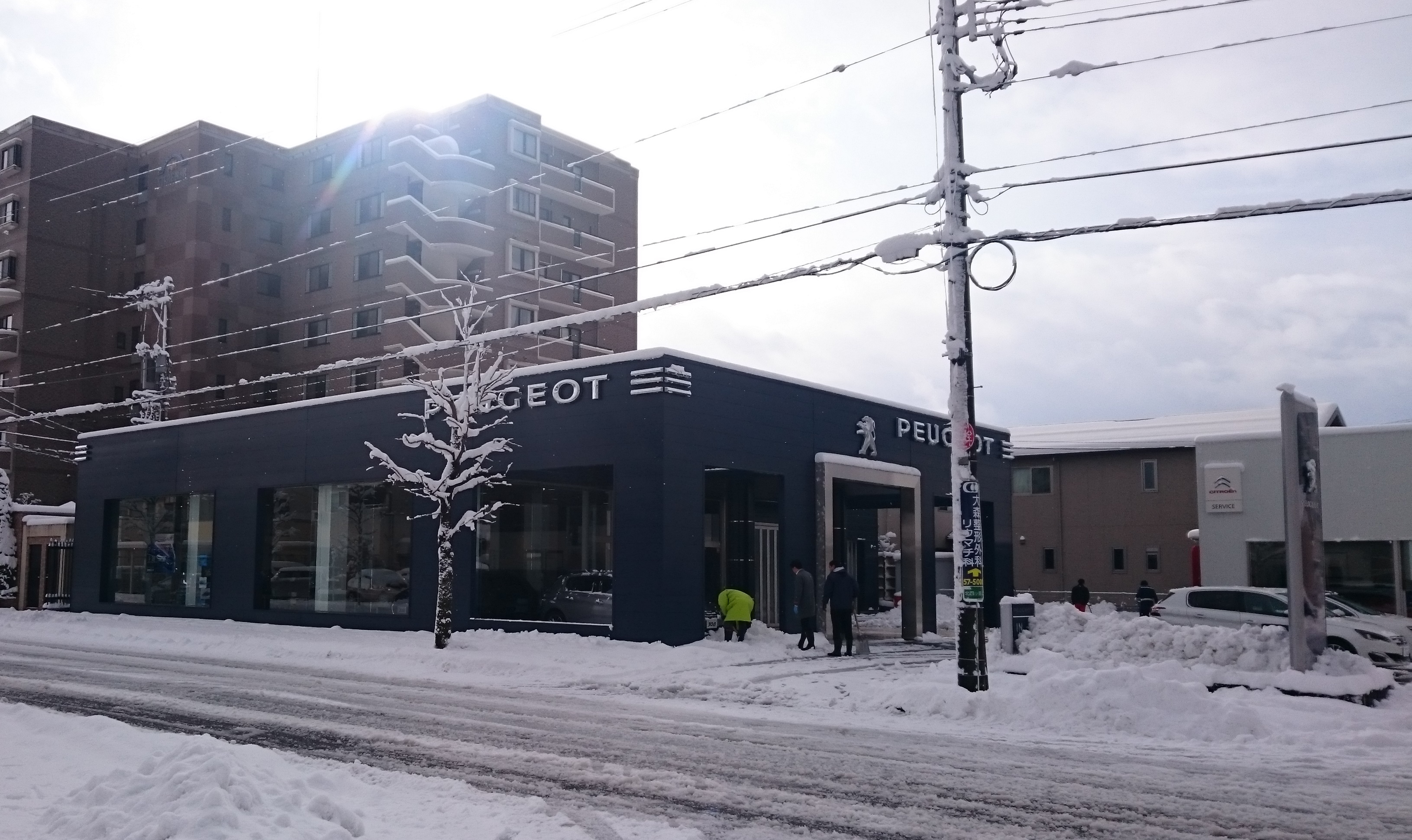 ❄プジョーと雪❄