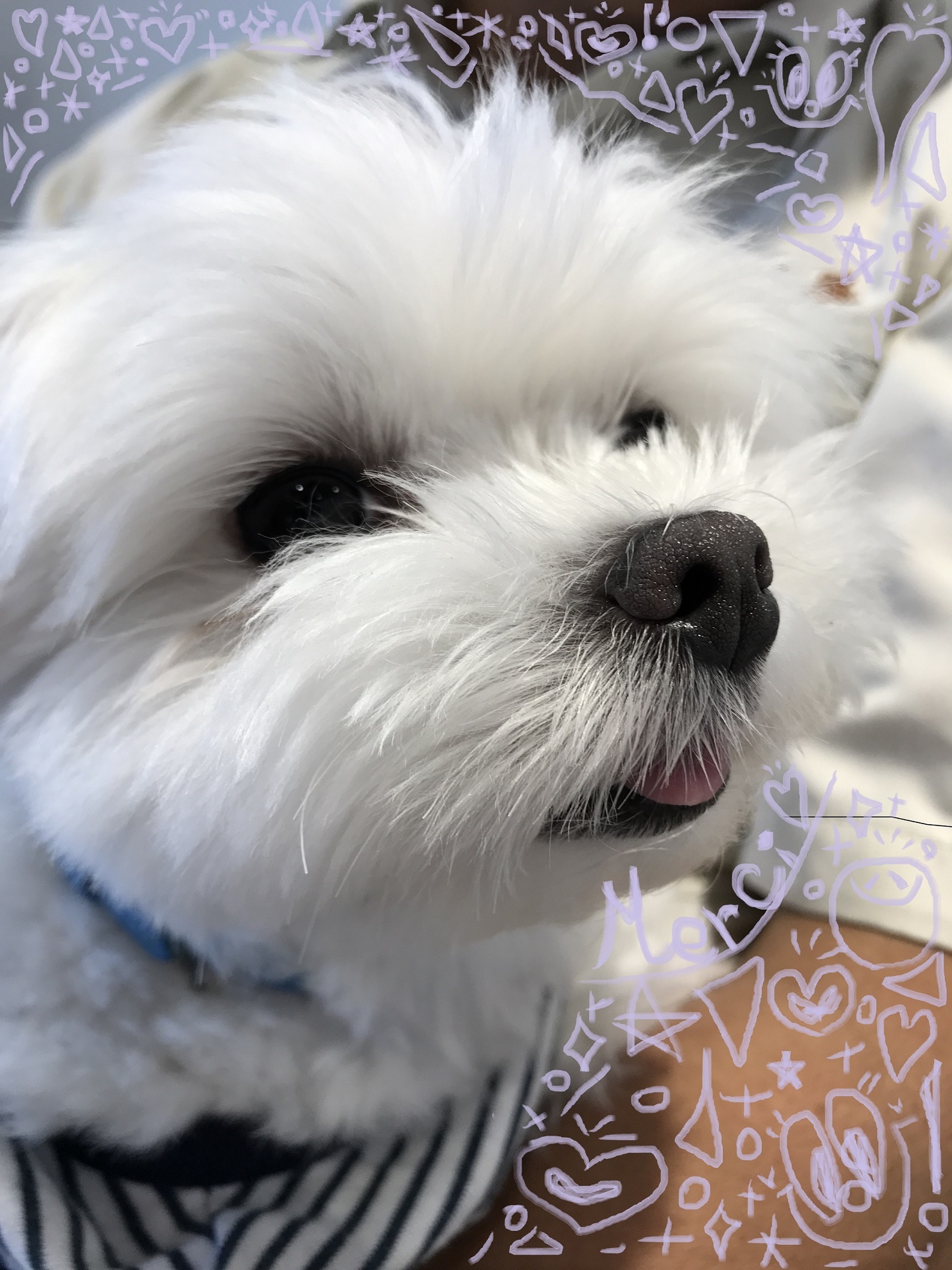 いちご大福ちゃん♡