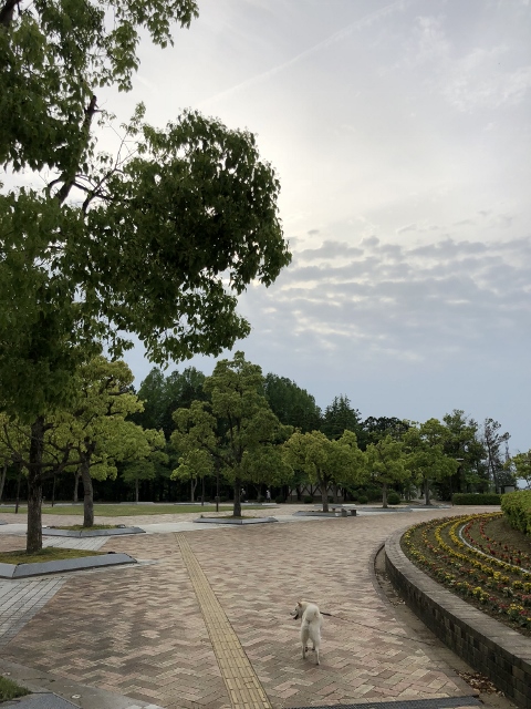 ドライブ日和！