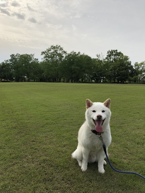 ドライブ日和！