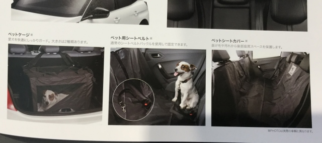 ドライブ日和！