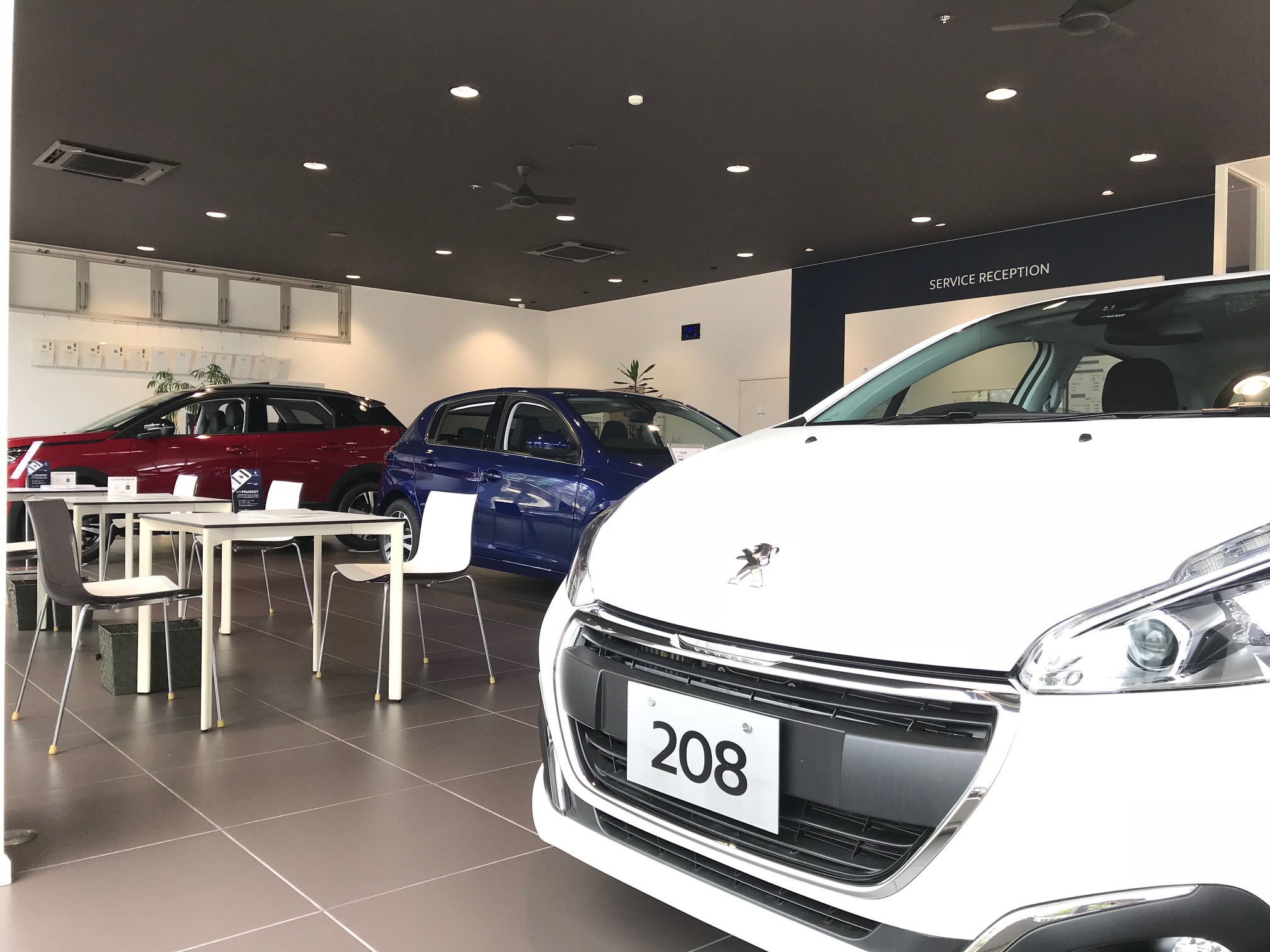 W杯　フランス勝利！