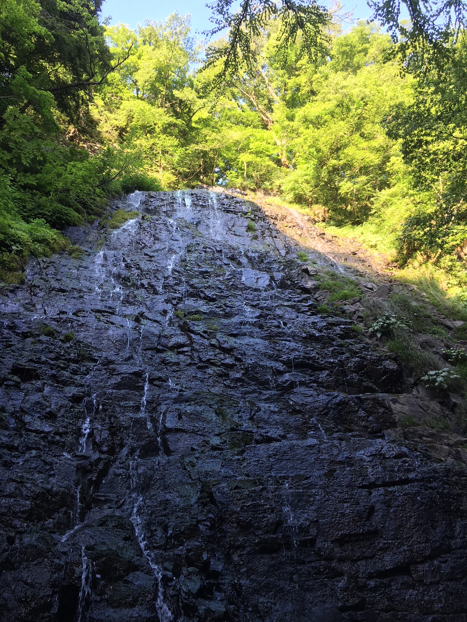 今週末は、出張展示会 in Lpa