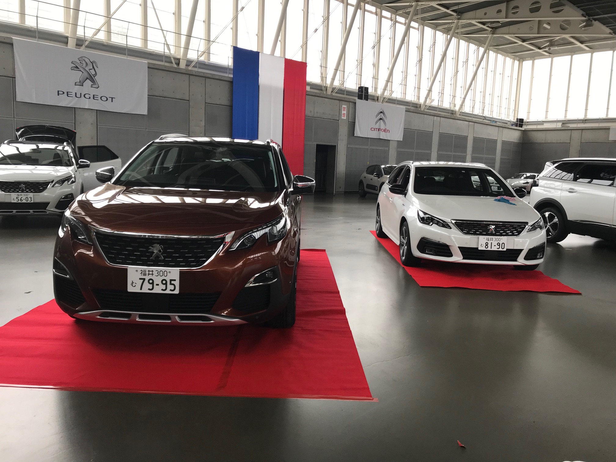 今週末は、ぜひ敦賀へ♡