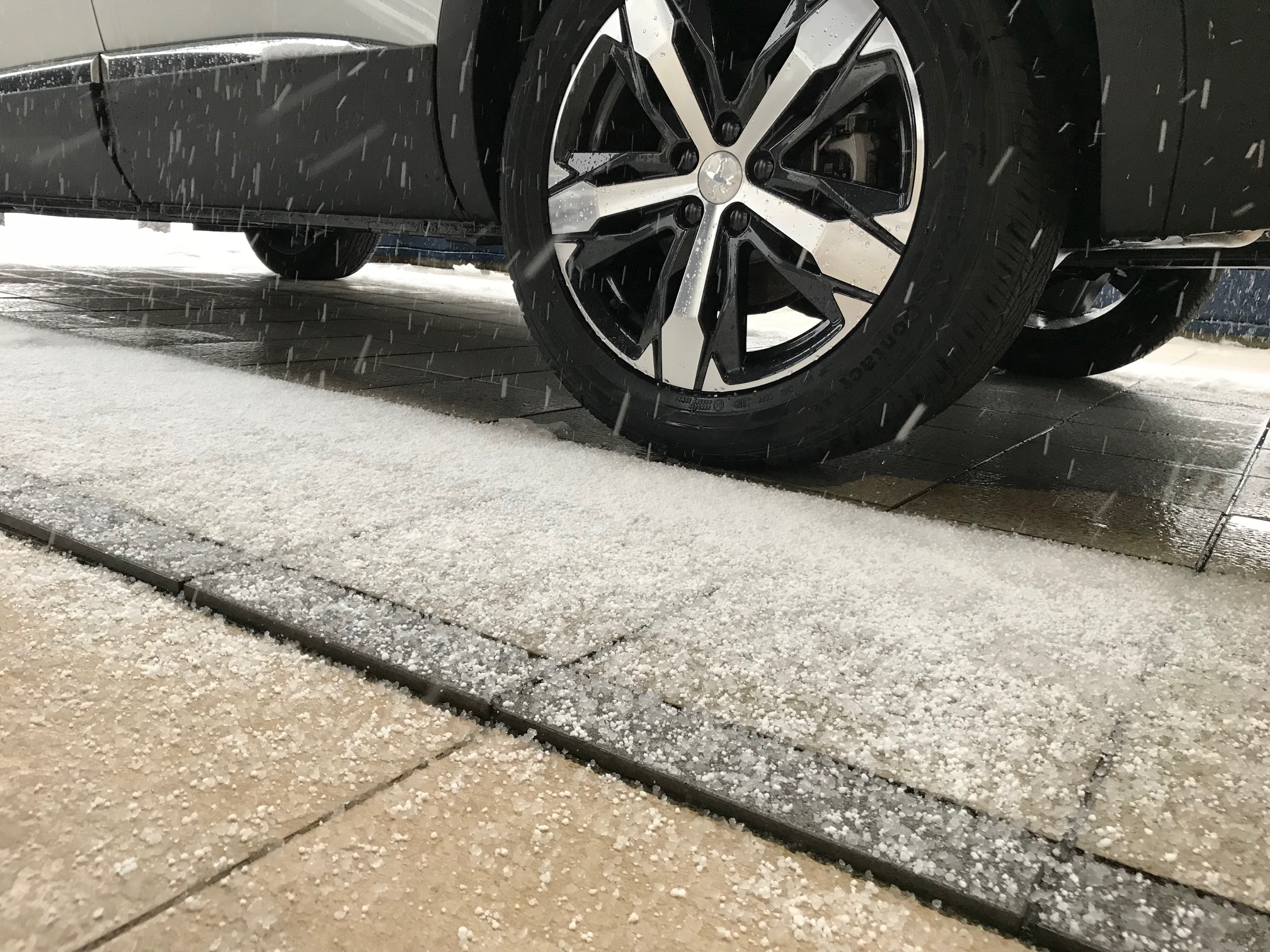 ひさしぶりの・・・雪