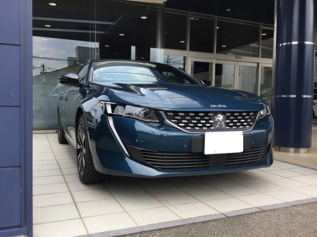 508 ELEBES BLUE “セレベスブルー”