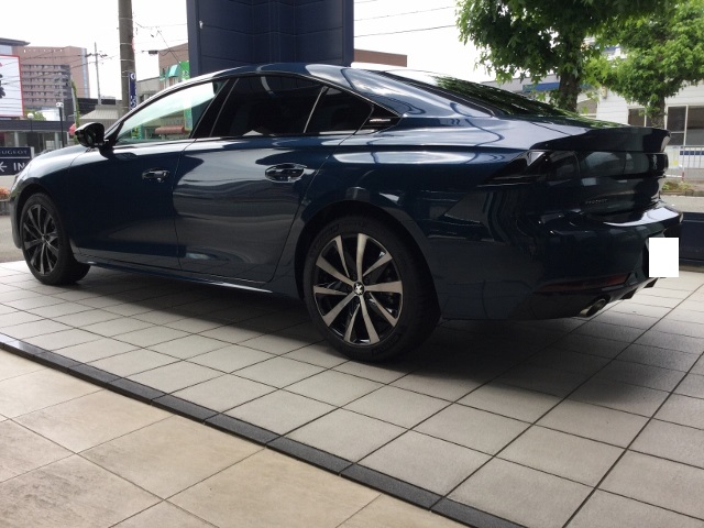 508 ELEBES BLUE “セレベスブルー”