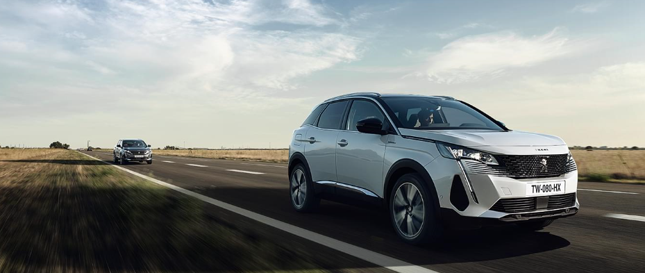 アンコールフェア【福井限定】