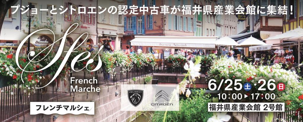 Sfes開催！！