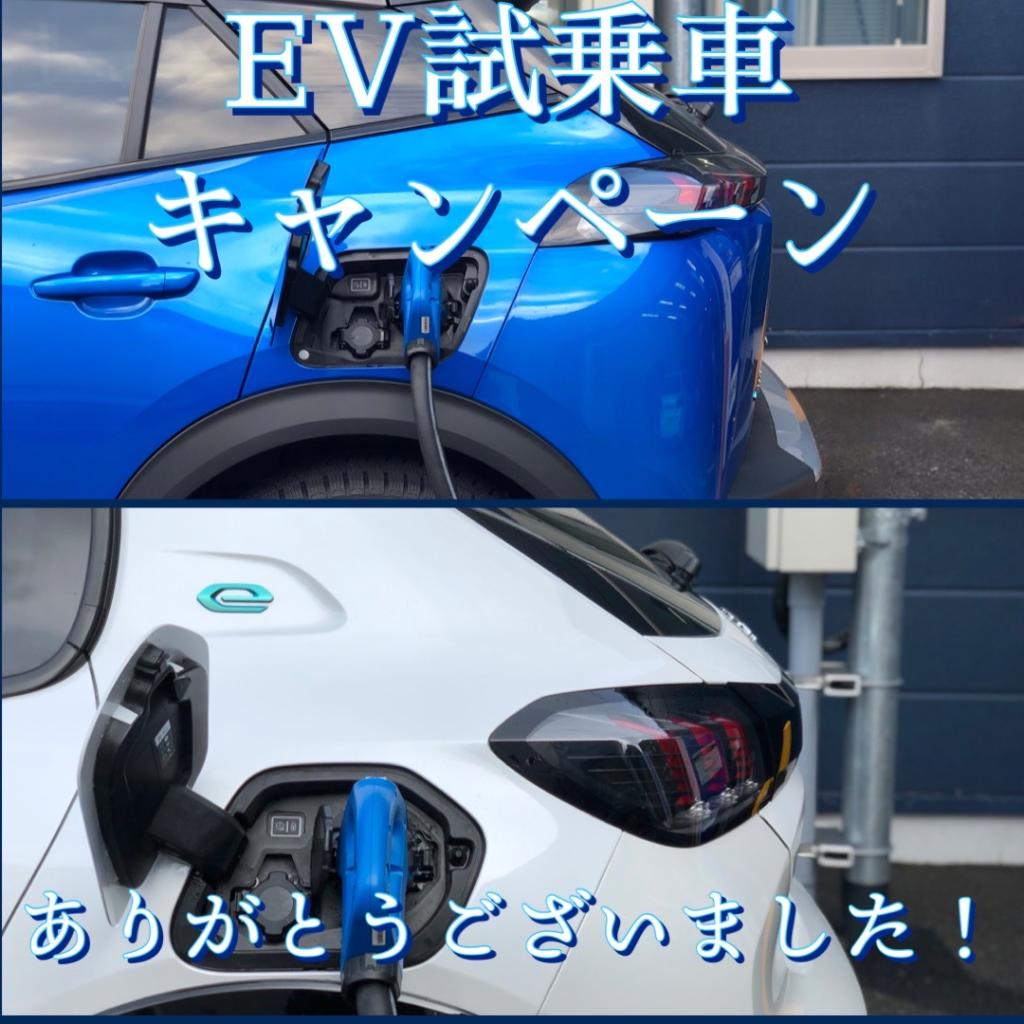 EV試乗キャンペーンありがとうございました！そしてイベントのご案内