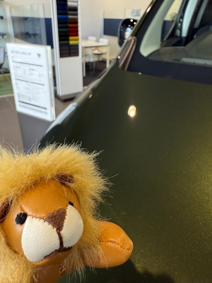 RIFTER　『シルカ・グリーン🌿』