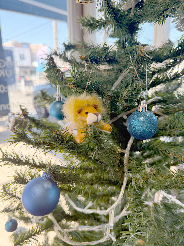 クリスマスがやってくる🎄✨