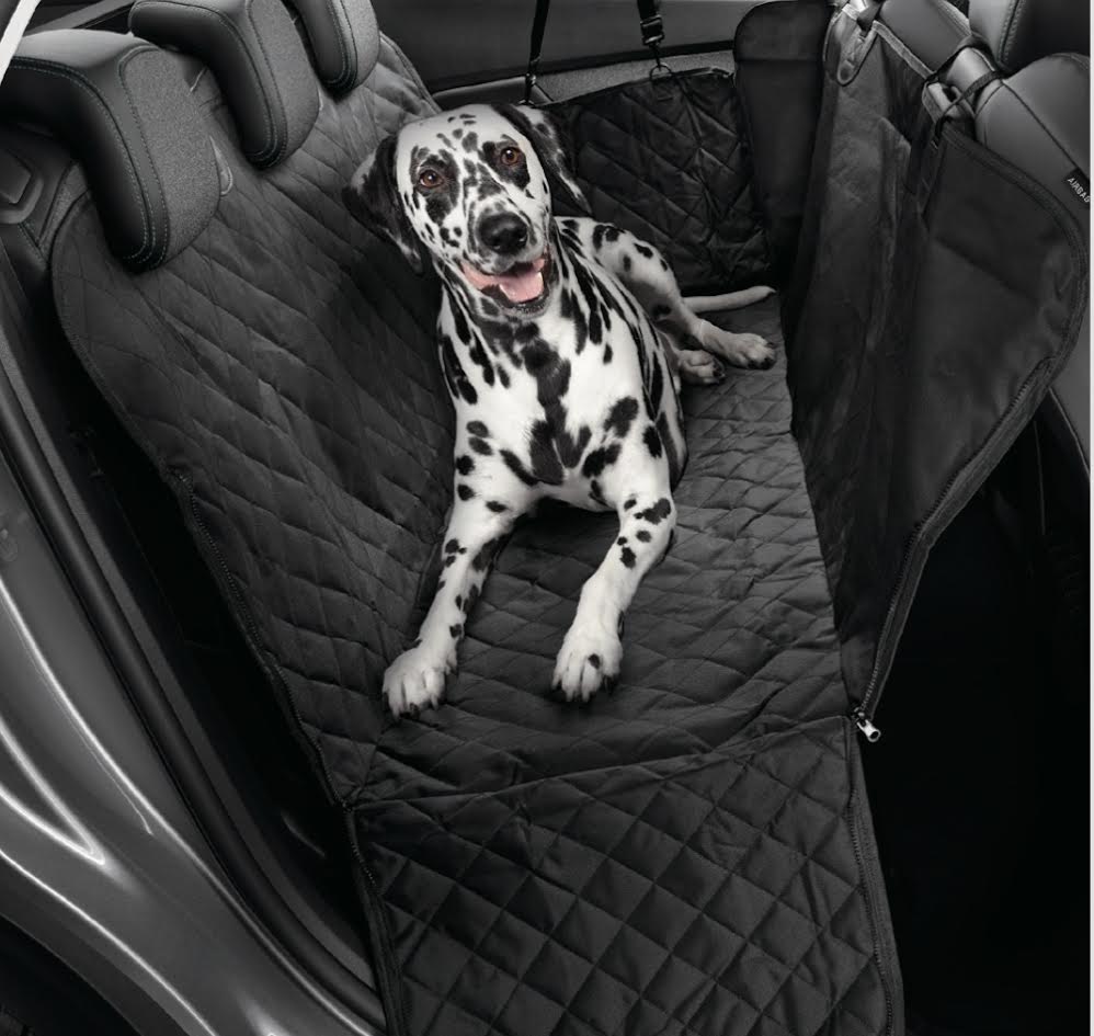 ペットオーナー様におすすめアイテムをご紹介🐶