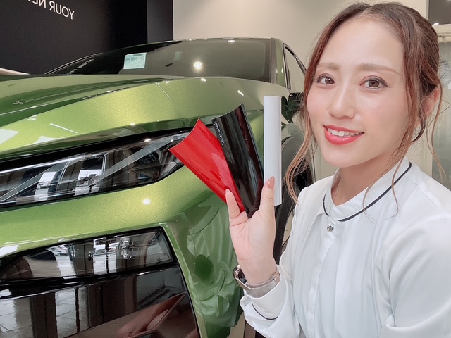 🎨 NEW PEUGEOT 408 ボディカラーラインアップ